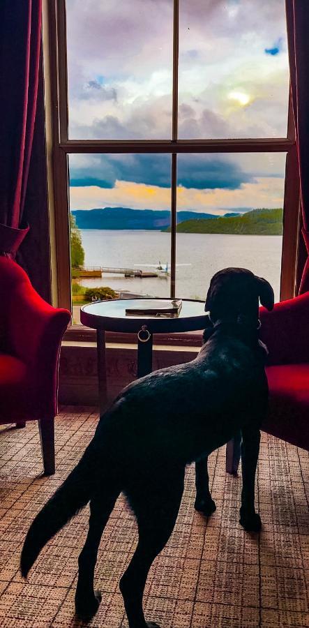 Cameron House on Loch Lomond Alexandria Exteriör bild View of Lake George from the Fort William Henry Hotel
